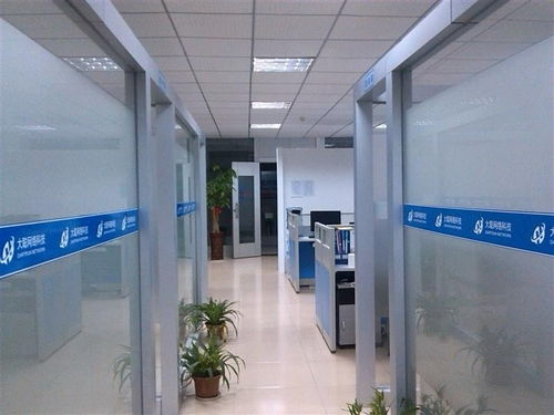 桂林市大聪网络科技 技术驱动，智领未来